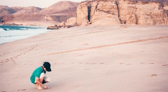 Sur les traces des tortues marines d'Oman.