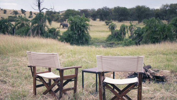 Un campement face à la savane avec un éléphant marchant au loin
