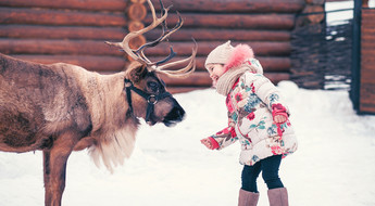Child with a reindeer in Finland