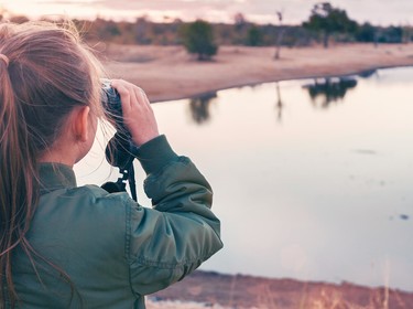 Best destinations to spot wildlife