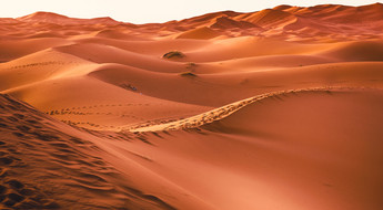 Les oasis du Maroc en famille pour Noel