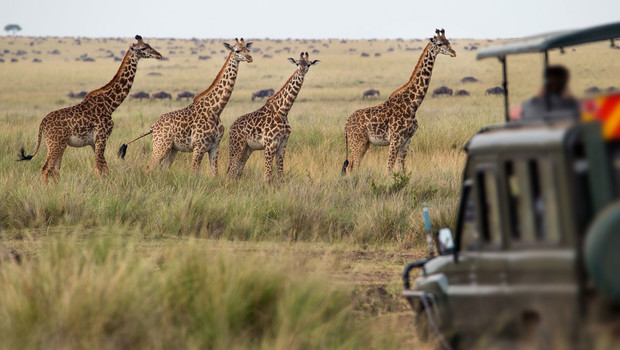 Safari au Kenya avec un petit groupe de voyageurs