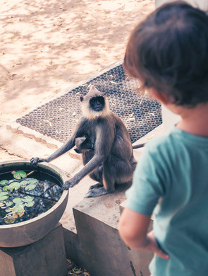 Découvertes naturelles au Sri Lanka avec ses enfants