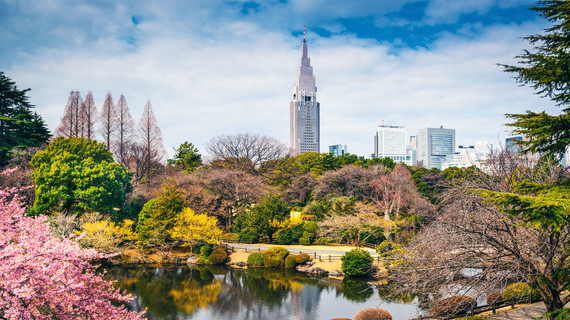 Parc de Shinjuku à Tokyo