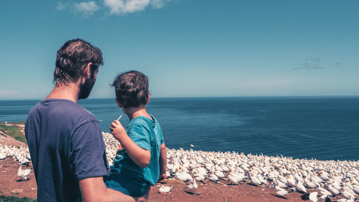 Observation des oiseaux en voyage