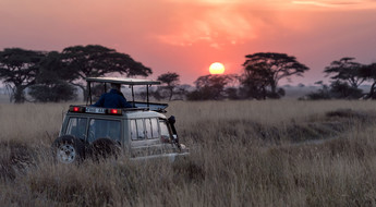 Un groupe de voyageurs en safari à bord d'un 4x4 admirant le coucher de soleil sur la savane