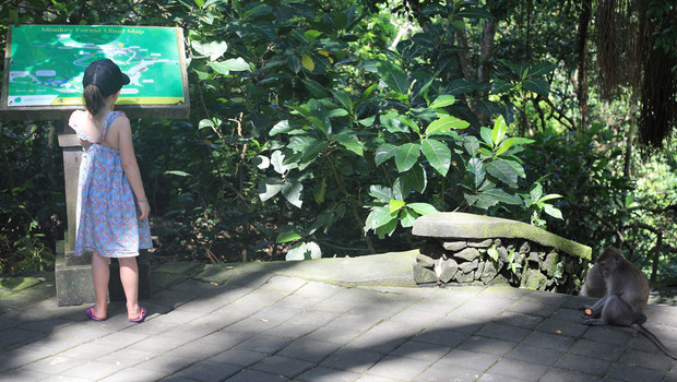 La forêt Sacred Monkey Forest Sanctuary en balade en famille
