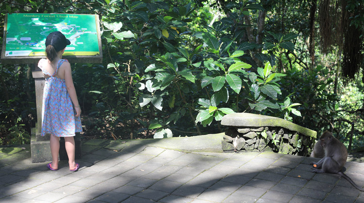La forêt Sacred Monkey Forest Sanctuary en balade en famille