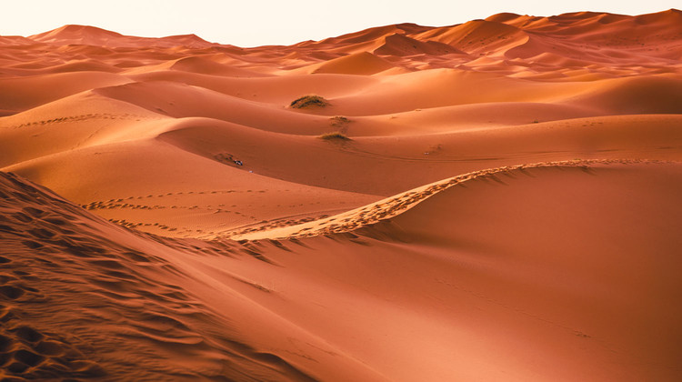 Les oasis du Maroc en famille pour Noel