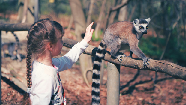 Child with a lemur in Madagascar