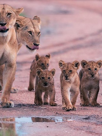 South Africa