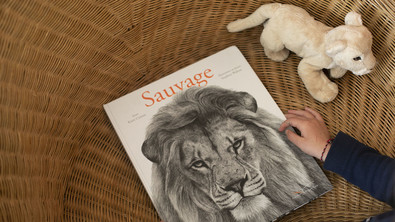 Sauvage - Beau livre illustré sur les animaux de la savane pour les enfants