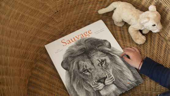 Sauvage - Beau livre illustré sur les animaux de la savane pour les enfants