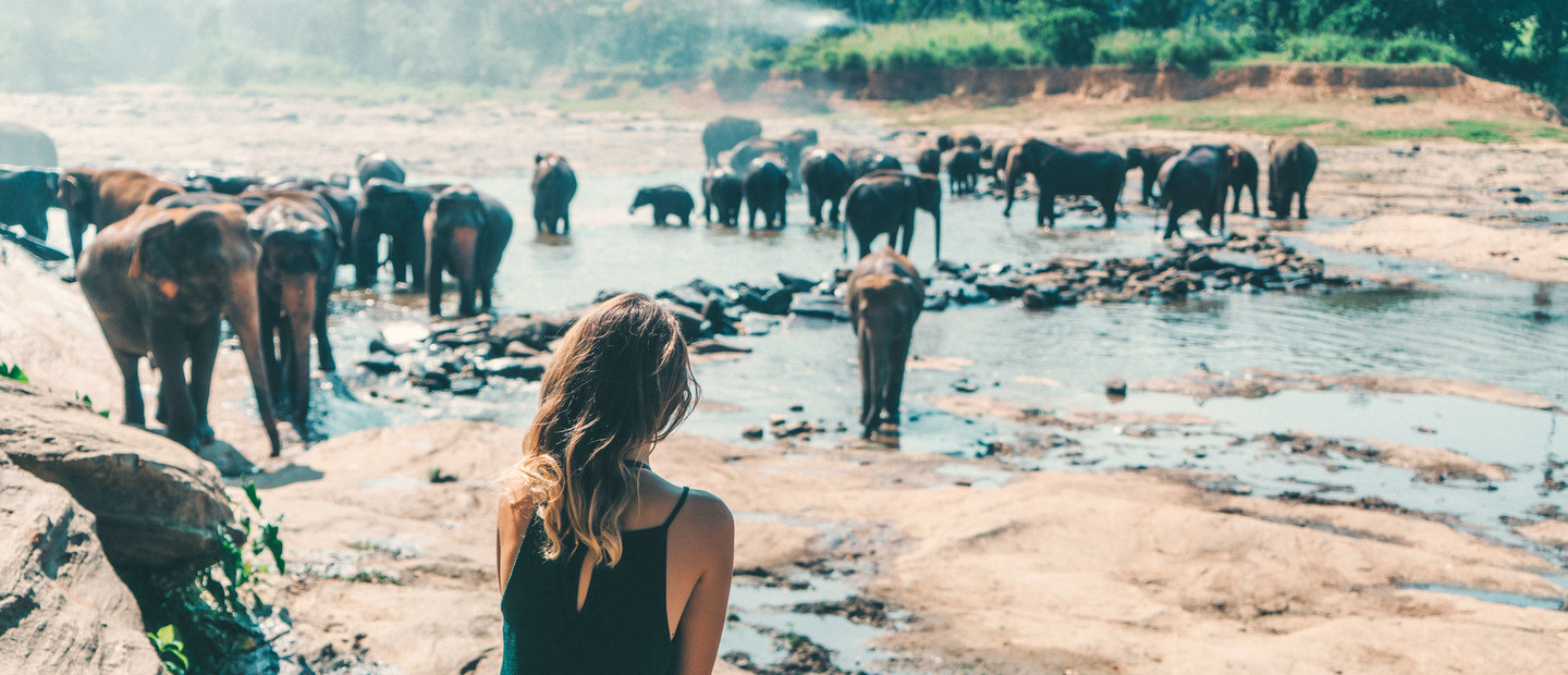 Voyageuse au sanctuaire des éléphants de Polonnaruwa au Sri Lanka