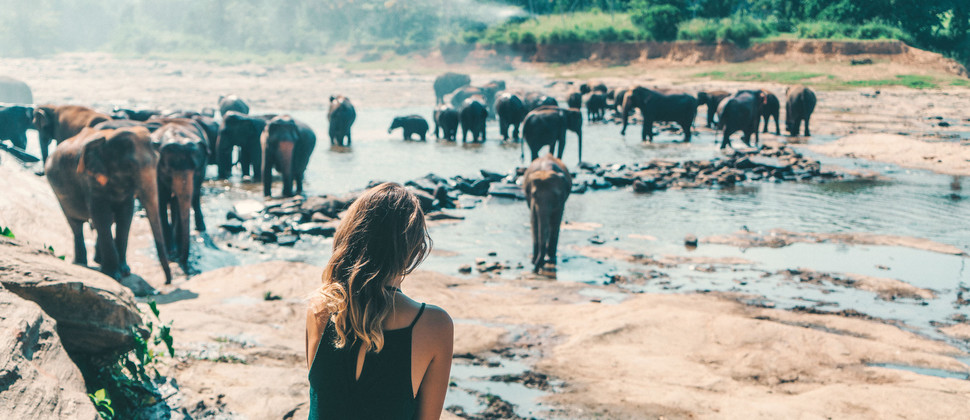 Voyageuse au sanctuaire des éléphants de Polonnaruwa au Sri Lanka