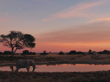 Coucher de soleil sur le parc d'Etosha en Namibie