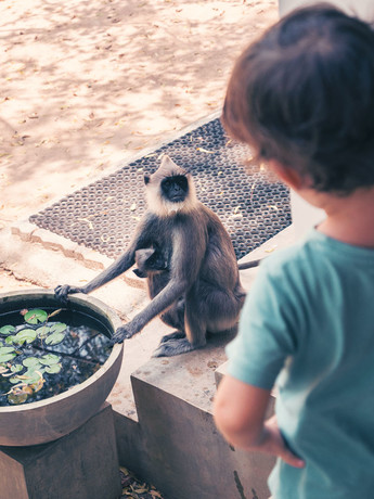 Découvertes naturelles au Sri Lanka avec ses enfants