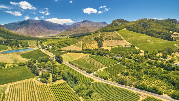 La via del vino nella regione del Capo, Sudafrica