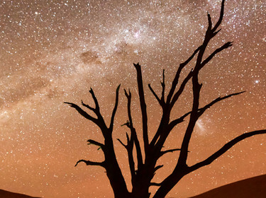 Ciel étoilé dans le désert du Namib, Namibie