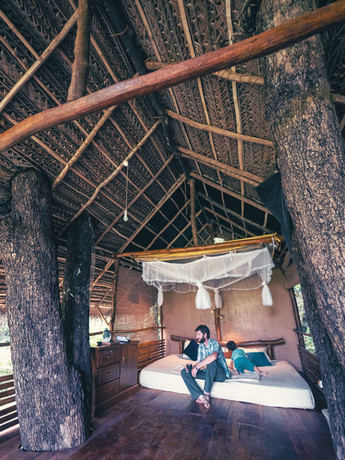 Ecolodge dans la canopée avec ses enfants