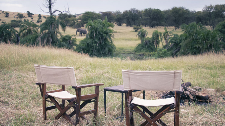 Un campement face à la savane avec un éléphant marchant au loin