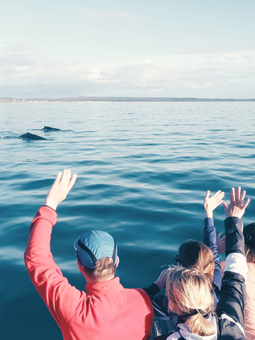 Whales in Quebec