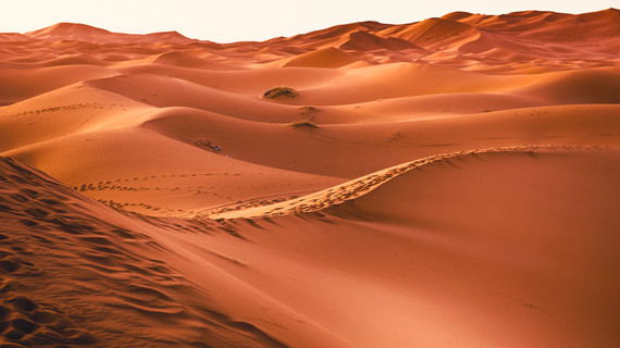 Les oasis du Maroc en famille pour Noel