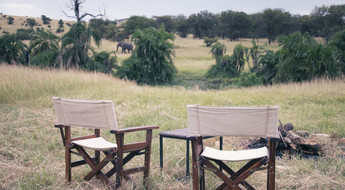 Un campement face à la savane avec un éléphant marchant au loin