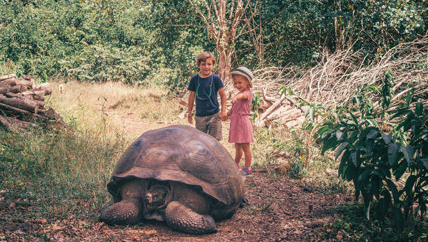 Tortues géantes des Galapagos avec ses enfants