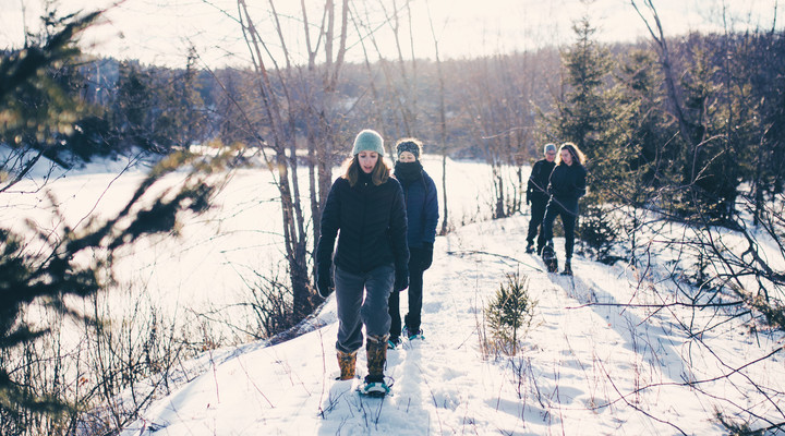 Découverte du Canada en hiver en rejoignant un petit groupe