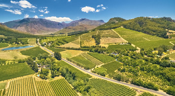 La via del vino nella regione del Capo, Sudafrica