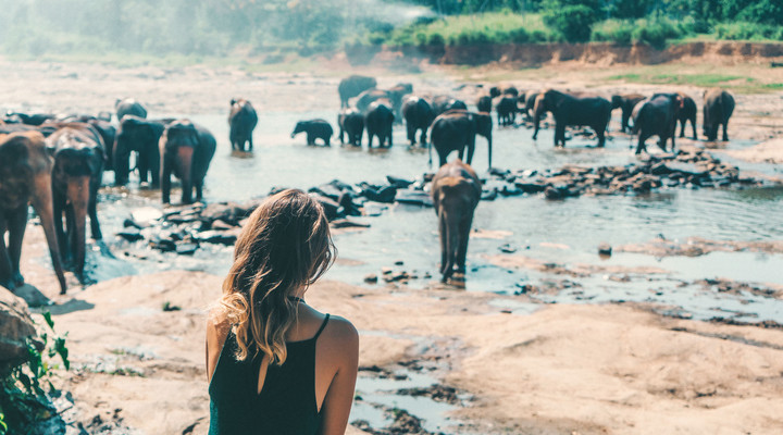 Voyageuse au sanctuaire des éléphants de Polonnaruwa au Sri Lanka