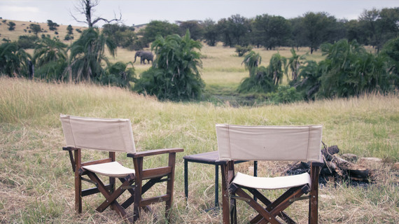 Un campement face à la savane avec un éléphant marchant au loin