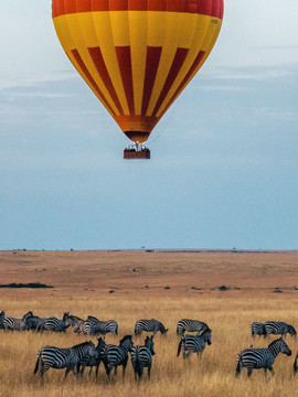 Montgolfière survolant un troupeau de zèbres dans le Masai Mara au Kenya