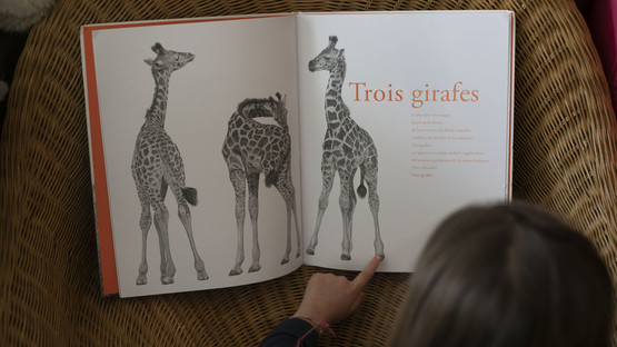 Sauvage - Beau livre illustré sur les Big Five et les animaux de la savane