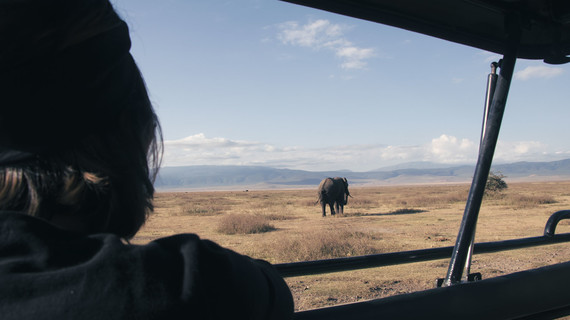 Femme observant un éléphant depuis un 4x4