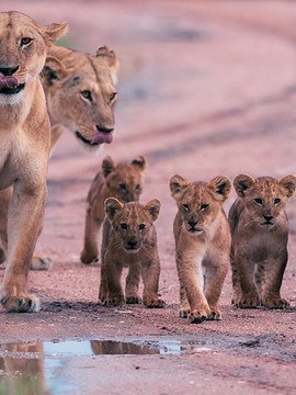 South Africa
