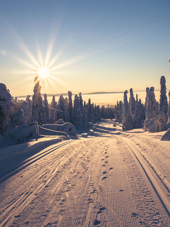 Finlande à Noel en famille