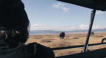 Femme observant un éléphant depuis un 4x4