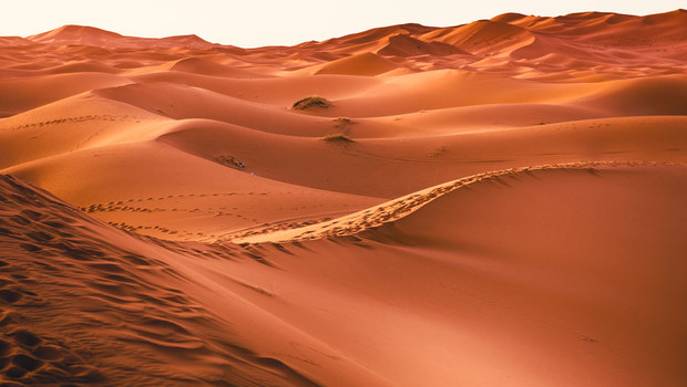 Les oasis du Maroc en famille pour Noel