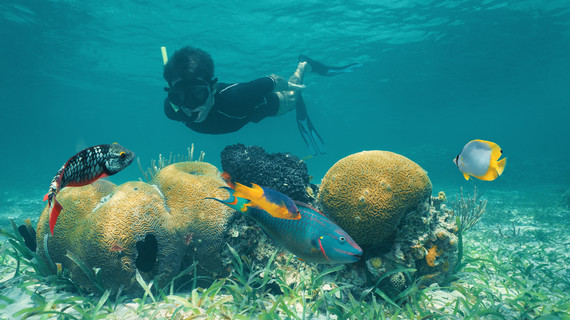 Snorkelling in Belize