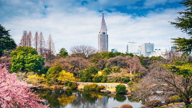 Parc de Shinjuku à Tokyo