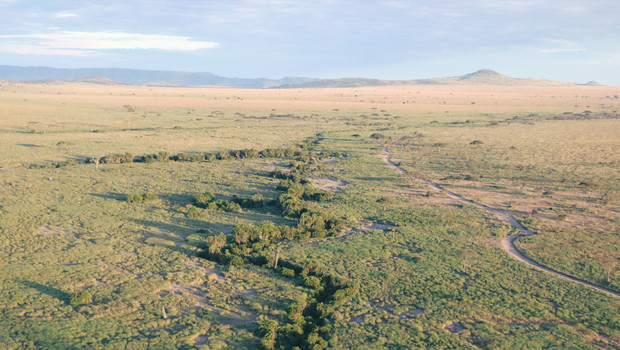 Survol en montgolfière du parc de Serengeti en Tanzanie