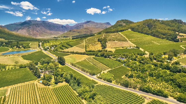 La via del vino nella regione del Capo, Sudafrica