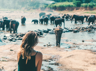 Voyageuse au sanctuaire des éléphants de Polonnaruwa au Sri Lanka