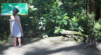 La forêt Sacred Monkey Forest Sanctuary en balade en famille